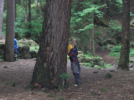 2AZalesnimistrasidylky (20)